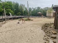 IMG_20240509_113959.jpg
