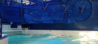IMG_20240928_184902 (1).jpg