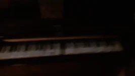 20250427_111338.webp