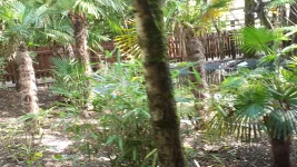 20250725_113839.webp