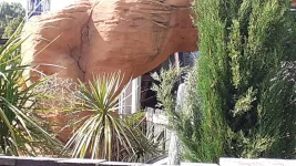 20250725_172244.webp