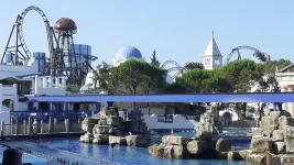 20250811_092514.webp
