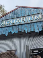 Aqua.webp