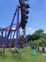 IMG_7046.jpeg IMG_7046.jpeg