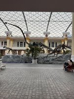 IMG_7055.jpeg IMG_7055.jpeg