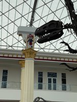 IMG_7056.jpeg IMG_7056.jpeg